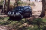 Forester in FNQ.jpg