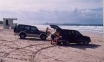 Forester at Bribie 2 - Small.jpg