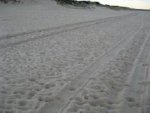 sand tracks.jpg