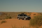 Foz on Little Red near Birdsville.jpg