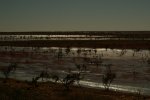 E fringe of Simpson Desert in flood 1.jpg