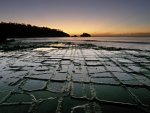 Tesslated pavement.jpg